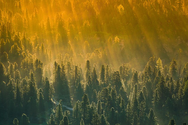 https://dailyalts.com/wp-content/uploads/2019/07/52e2dc454952a914ea898579ce203e7c1d22dfe055527249702b7ed5_640.jpg https://dailyalts.com/wp-content/uploads/2019/07/52e2dc454952a914ea898579ce203e7c1d22dfe055527249702b7ed5_640.jpg