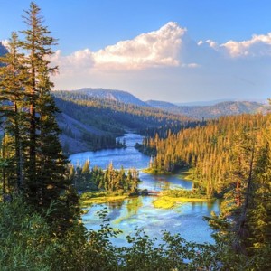 https://dailyalts.com/wp-content/uploads/2019/07/57e8d0424a51ad14ea898579ce203e7c1d22dfe055527249702978d0_640.jpg https://dailyalts.com/wp-content/uploads/2019/07/57e8d0424a51ad14ea898579ce203e7c1d22dfe055527249702978d0_640.jpg