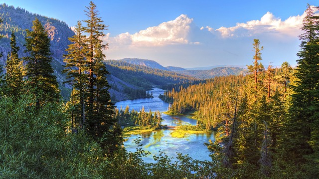 https://dailyalts.com/wp-content/uploads/2019/07/57e8d0424a51ad14ea898579ce203e7c1d22dfe055527249702978d0_640.jpg https://dailyalts.com/wp-content/uploads/2019/07/57e8d0424a51ad14ea898579ce203e7c1d22dfe055527249702978d0_640.jpg