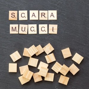 https://dailyalts.com/wp-content/uploads/2019/08/Scaramucci.jpg https://dailyalts.com/wp-content/uploads/2019/08/Scaramucci.jpg