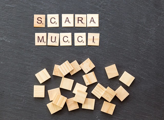 https://dailyalts.com/wp-content/uploads/2019/08/Scaramucci.jpg https://dailyalts.com/wp-content/uploads/2019/08/Scaramucci.jpg