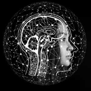 https://dailyalts.com/wp-content/uploads/2019/08/artificial-intelligence-4389372_1920-ai-startup-ainnovation.jpg https://dailyalts.com/wp-content/uploads/2019/08/artificial-intelligence-4389372_1920-ai-startup-ainnovation.jpg