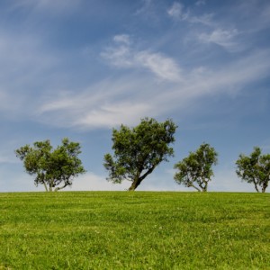 https://dailyalts.com/wp-content/uploads/2019/10/trees-790220_1920-ETF-ESG-nn-standard.jpg https://dailyalts.com/wp-content/uploads/2019/10/trees-790220_1920-ETF-ESG-nn-standard.jpg