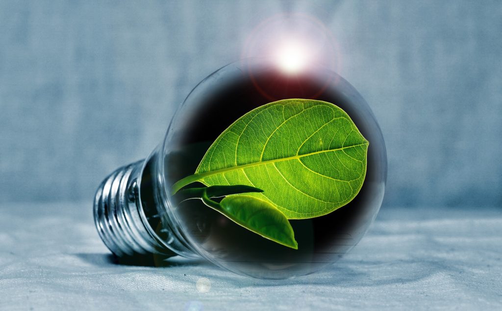 https://dailyalts.com/wp-content/uploads/2019/12/light-bulb-2631864_1920-OneEarth-73Trillion.jpg https://dailyalts.com/wp-content/uploads/2019/12/light-bulb-2631864_1920-OneEarth-73Trillion.jpg