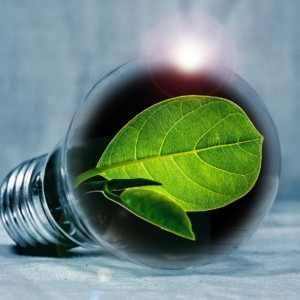 https://dailyalts.com/wp-content/uploads/2019/12/light-bulb-2631864_1920-OneEarth-73Trillion.jpg https://dailyalts.com/wp-content/uploads/2019/12/light-bulb-2631864_1920-OneEarth-73Trillion.jpg