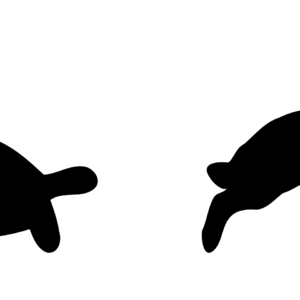 https://dailyalts.com/wp-content/uploads/2020/01/alphabet-word-images-1298865-hedge-funds.png https://dailyalts.com/wp-content/uploads/2020/01/alphabet-word-images-1298865-hedge-funds.png