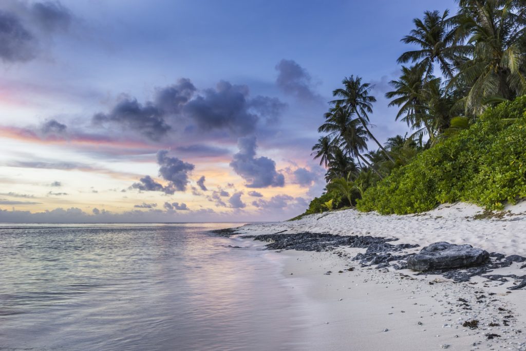 https://dailyalts.com/wp-content/uploads/2020/01/beach-1209726_1920-shoreline-pe.jpg https://dailyalts.com/wp-content/uploads/2020/01/beach-1209726_1920-shoreline-pe.jpg