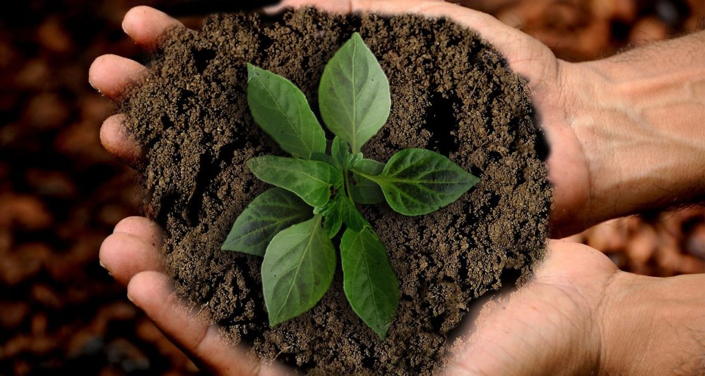 https://dailyalts.com/wp-content/uploads/2020/01/earth-3289810_1280-ecovadis-cvc.jpg https://dailyalts.com/wp-content/uploads/2020/01/earth-3289810_1280-ecovadis-cvc.jpg