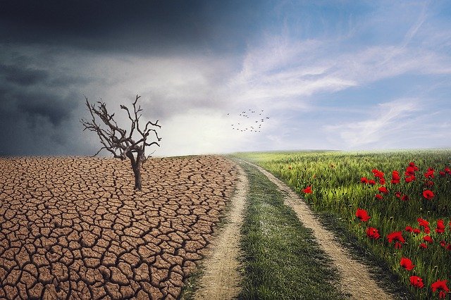https://dailyalts.com/wp-content/uploads/2020/01/landscape-4684217_640-MSCI-ESG.jpg https://dailyalts.com/wp-content/uploads/2020/01/landscape-4684217_640-MSCI-ESG.jpg