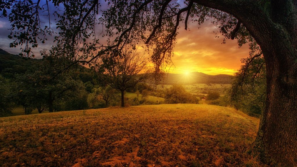 https://dailyalts.com/wp-content/uploads/2020/01/nature-3125912_1920-esg-iss.jpg https://dailyalts.com/wp-content/uploads/2020/01/nature-3125912_1920-esg-iss.jpg