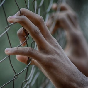 https://dailyalts.com/wp-content/uploads/2020/02/fence-2163951_640-gemcoin-fraud.jpg https://dailyalts.com/wp-content/uploads/2020/02/fence-2163951_640-gemcoin-fraud.jpg