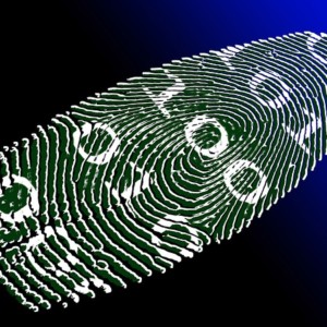 https://dailyalts.com/wp-content/uploads/2020/02/virtual-identity-69996_640-maxonrow.jpg https://dailyalts.com/wp-content/uploads/2020/02/virtual-identity-69996_640-maxonrow.jpg