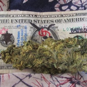 https://dailyalts.com/wp-content/uploads/2020/03/7525108682_afa35c3208_c-cannabis-money.jpg https://dailyalts.com/wp-content/uploads/2020/03/7525108682_afa35c3208_c-cannabis-money.jpg