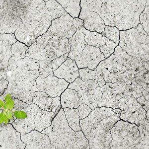 https://dailyalts.com/wp-content/uploads/2020/03/climate-change-1325882_640-lyxor.jpg https://dailyalts.com/wp-content/uploads/2020/03/climate-change-1325882_640-lyxor.jpg