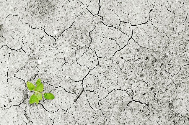 https://dailyalts.com/wp-content/uploads/2020/03/climate-change-1325882_640-lyxor.jpg https://dailyalts.com/wp-content/uploads/2020/03/climate-change-1325882_640-lyxor.jpg