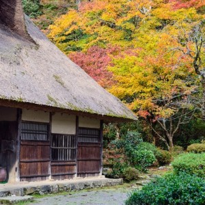 https://dailyalts.com/wp-content/uploads/2020/03/japan-3812704_640-japanese-RE2.jpg https://dailyalts.com/wp-content/uploads/2020/03/japan-3812704_640-japanese-RE2.jpg
