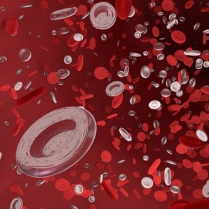 https://dailyalts.com/wp-content/uploads/2020/03/red-blood-cell-4256711_640-kero-IPO.jpg https://dailyalts.com/wp-content/uploads/2020/03/red-blood-cell-4256711_640-kero-IPO.jpg
