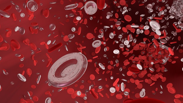 https://dailyalts.com/wp-content/uploads/2020/03/red-blood-cell-4256711_640-kero-IPO.jpg https://dailyalts.com/wp-content/uploads/2020/03/red-blood-cell-4256711_640-kero-IPO.jpg