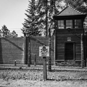 https://dailyalts.com/wp-content/uploads/2020/04/auschwitz-4443892_640-AI-Holocaust.jpg https://dailyalts.com/wp-content/uploads/2020/04/auschwitz-4443892_640-AI-Holocaust.jpg