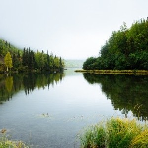 https://dailyalts.com/wp-content/uploads/2020/04/water-1246643_640-esg-moodys.jpg https://dailyalts.com/wp-content/uploads/2020/04/water-1246643_640-esg-moodys.jpg