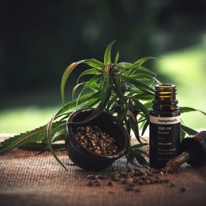 https://dailyalts.com/wp-content/uploads/2020/05/cbd-ol-4473886_640-PotX.jpg https://dailyalts.com/wp-content/uploads/2020/05/cbd-ol-4473886_640-PotX.jpg