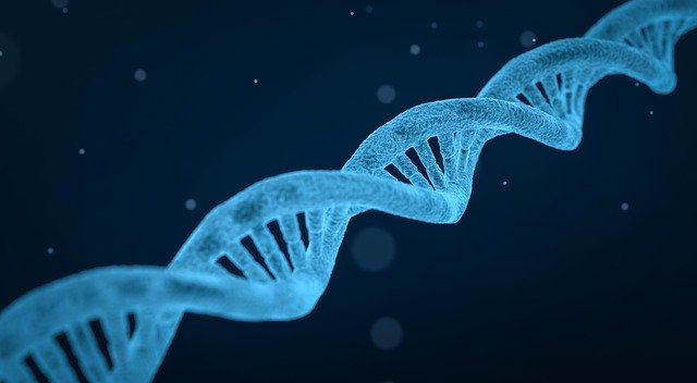 https://dailyalts.com/wp-content/uploads/2020/06/dna-3656587_640.jpg https://dailyalts.com/wp-content/uploads/2020/06/dna-3656587_640.jpg