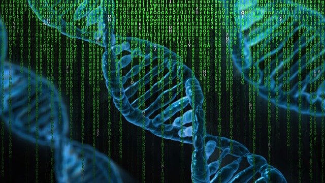 https://dailyalts.com/wp-content/uploads/2020/06/dna-3888228_640.jpg https://dailyalts.com/wp-content/uploads/2020/06/dna-3888228_640.jpg