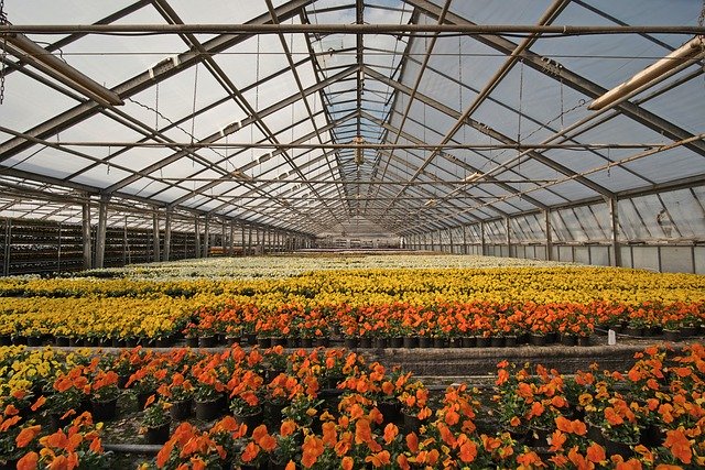 https://dailyalts.com/wp-content/uploads/2020/06/greenhouse-4948726_640.jpg https://dailyalts.com/wp-content/uploads/2020/06/greenhouse-4948726_640.jpg