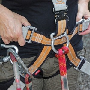 https://dailyalts.com/wp-content/uploads/2020/07/forest-climbing-park-931256_640.jpg https://dailyalts.com/wp-content/uploads/2020/07/forest-climbing-park-931256_640.jpg