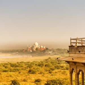 https://dailyalts.com/wp-content/uploads/2020/07/india-1748445_1920.jpg https://dailyalts.com/wp-content/uploads/2020/07/india-1748445_1920.jpg