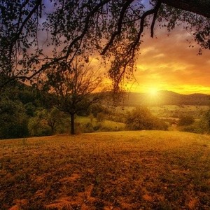https://dailyalts.com/wp-content/uploads/2020/07/nature-3125912_640.jpg https://dailyalts.com/wp-content/uploads/2020/07/nature-3125912_640.jpg