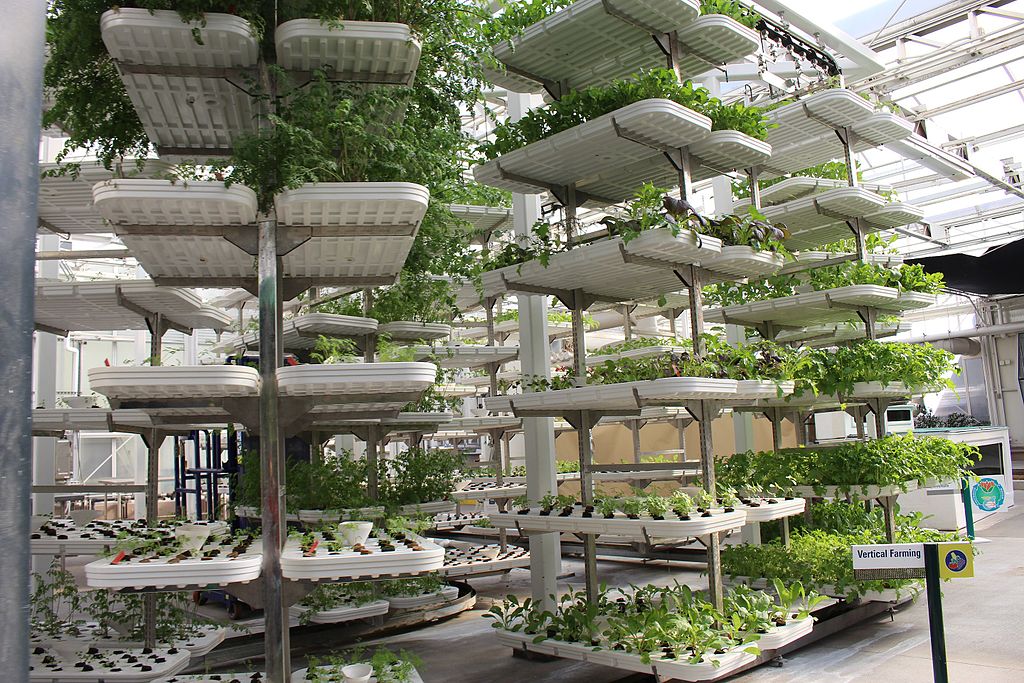 https://dailyalts.com/wp-content/uploads/2020/08/Living_with_the_Land_33.jpg https://dailyalts.com/wp-content/uploads/2020/08/Living_with_the_Land_33.jpg