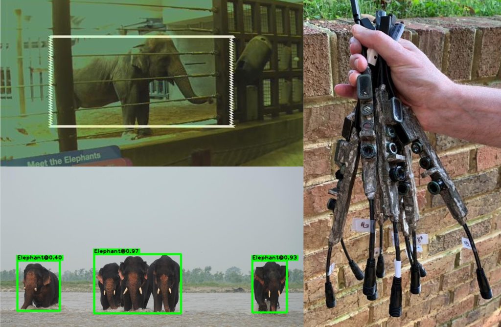 https://dailyalts.com/wp-content/uploads/2020/09/World_Elephant_Day_Collage-scaled.jpg https://dailyalts.com/wp-content/uploads/2020/09/World_Elephant_Day_Collage-scaled.jpg