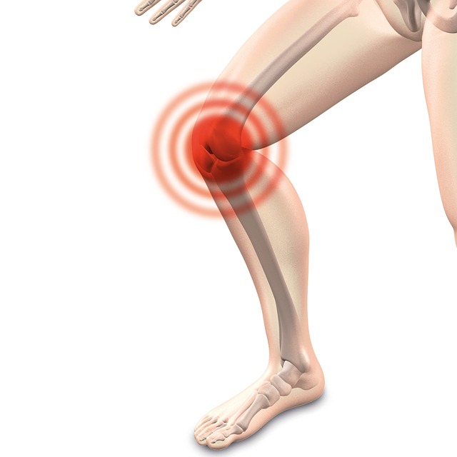 https://dailyalts.com/wp-content/uploads/2020/09/arthrocalman-2384253_640.jpg https://dailyalts.com/wp-content/uploads/2020/09/arthrocalman-2384253_640.jpg