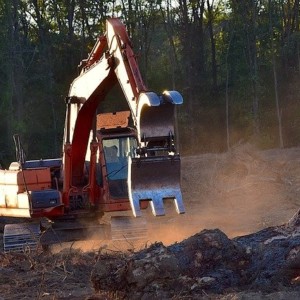https://dailyalts.com/wp-content/uploads/2020/09/deforestation-2833700_640.jpg https://dailyalts.com/wp-content/uploads/2020/09/deforestation-2833700_640.jpg