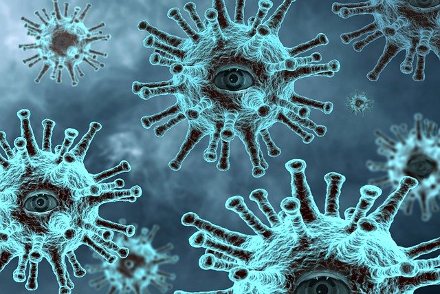 https://dailyalts.com/wp-content/uploads/2020/09/epidemic-4952933_640.jpg https://dailyalts.com/wp-content/uploads/2020/09/epidemic-4952933_640.jpg