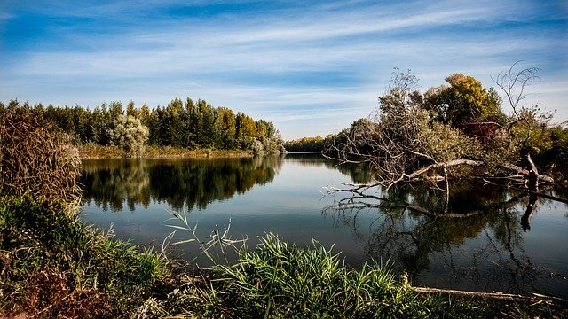 https://dailyalts.com/wp-content/uploads/2020/10/autumn-972786_640.jpg https://dailyalts.com/wp-content/uploads/2020/10/autumn-972786_640.jpg