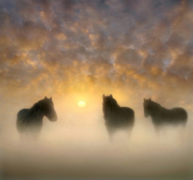 https://dailyalts.com/wp-content/uploads/2020/10/equines-5400385_640.jpg https://dailyalts.com/wp-content/uploads/2020/10/equines-5400385_640.jpg