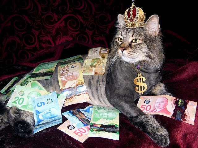 https://dailyalts.com/wp-content/uploads/2020/10/money-1144553_640.jpg https://dailyalts.com/wp-content/uploads/2020/10/money-1144553_640.jpg