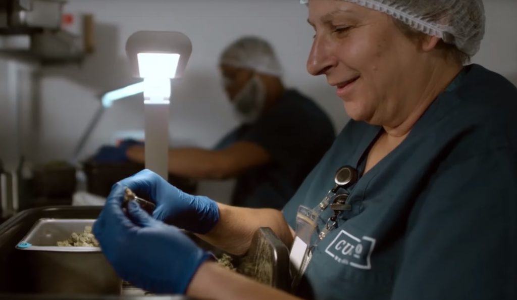 https://dailyalts.com/wp-content/uploads/2020/12/Curio-Wellness-employee-screenshot-from-video.jpg https://dailyalts.com/wp-content/uploads/2020/12/Curio-Wellness-employee-screenshot-from-video.jpg