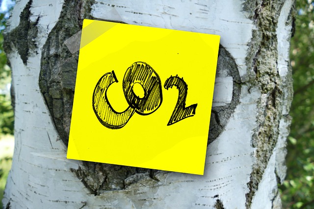 https://dailyalts.com/wp-content/uploads/2020/12/co2-3139230_640.jpg https://dailyalts.com/wp-content/uploads/2020/12/co2-3139230_640.jpg