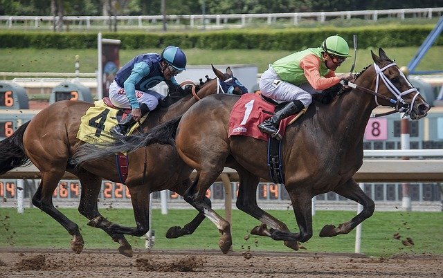 https://dailyalts.com/wp-content/uploads/2021/01/horse-3433862_640.jpg https://dailyalts.com/wp-content/uploads/2021/01/horse-3433862_640.jpg
