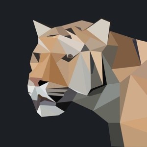https://dailyalts.com/wp-content/uploads/2021/01/tiger-1022865_640.jpg https://dailyalts.com/wp-content/uploads/2021/01/tiger-1022865_640.jpg