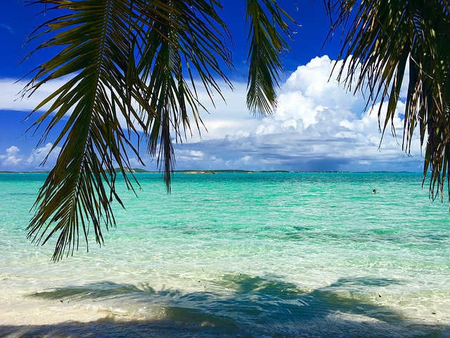https://dailyalts.com/wp-content/uploads/2021/02/bahamas-1720653_640.jpg https://dailyalts.com/wp-content/uploads/2021/02/bahamas-1720653_640.jpg