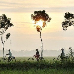 https://dailyalts.com/wp-content/uploads/2021/03/bicycle-riding-947336_640.jpg https://dailyalts.com/wp-content/uploads/2021/03/bicycle-riding-947336_640.jpg