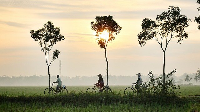 https://dailyalts.com/wp-content/uploads/2021/03/bicycle-riding-947336_640.jpg https://dailyalts.com/wp-content/uploads/2021/03/bicycle-riding-947336_640.jpg