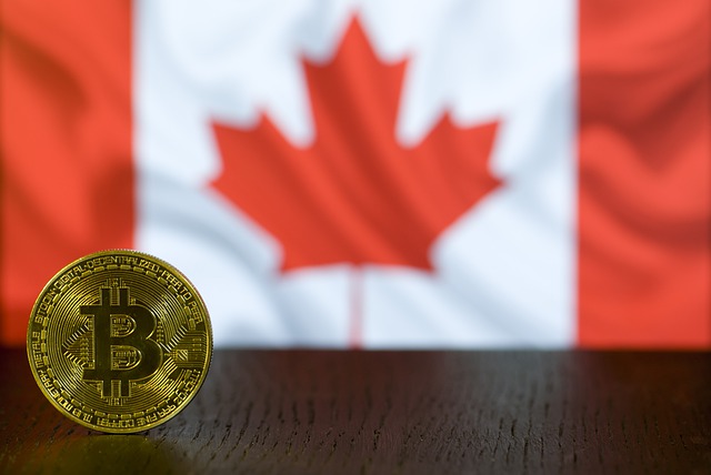 https://dailyalts.com/wp-content/uploads/2021/04/bitcoin-4406848_640.jpg https://dailyalts.com/wp-content/uploads/2021/04/bitcoin-4406848_640.jpg