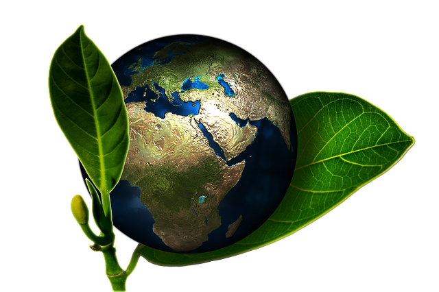 https://dailyalts.com/wp-content/uploads/2021/04/earth-661447_640.png https://dailyalts.com/wp-content/uploads/2021/04/earth-661447_640.png