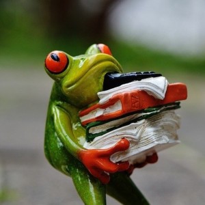 https://dailyalts.com/wp-content/uploads/2021/04/frog-1339894_640.jpg https://dailyalts.com/wp-content/uploads/2021/04/frog-1339894_640.jpg