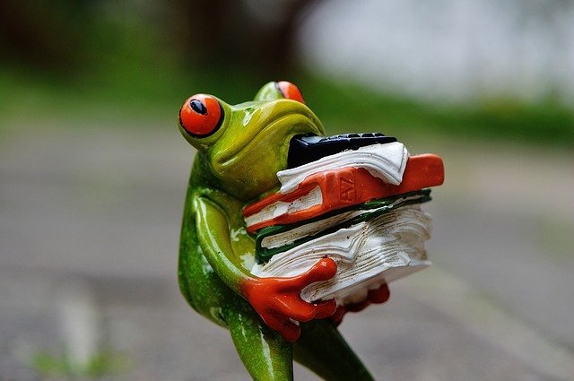 https://dailyalts.com/wp-content/uploads/2021/04/frog-1339894_640.jpg https://dailyalts.com/wp-content/uploads/2021/04/frog-1339894_640.jpg